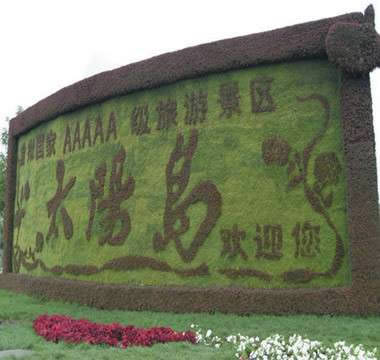 開(kāi)封前方園藝——五色草立體花壇廠家直銷(xiāo)